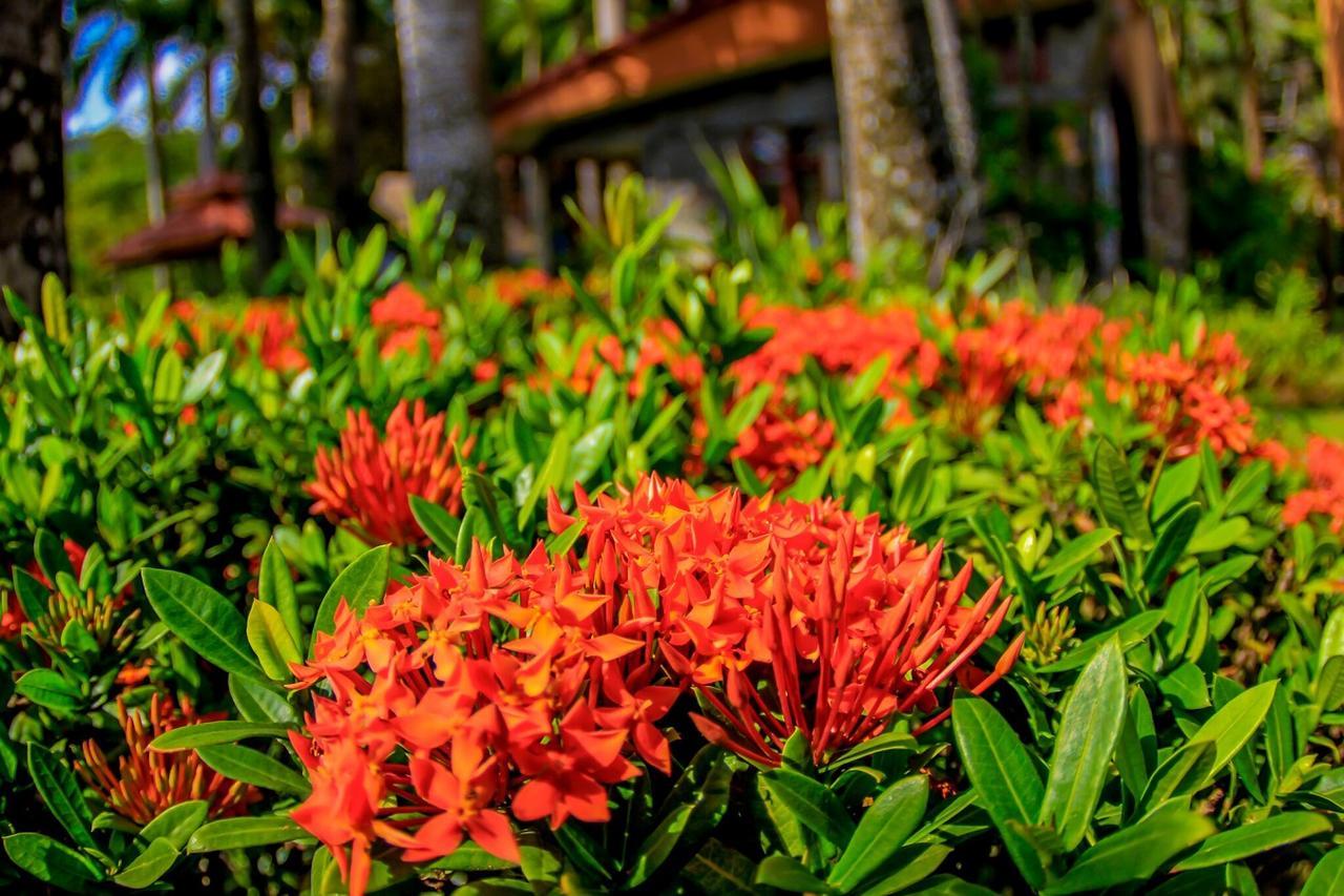 Marea Brava Hotel Jaco Luaran gambar